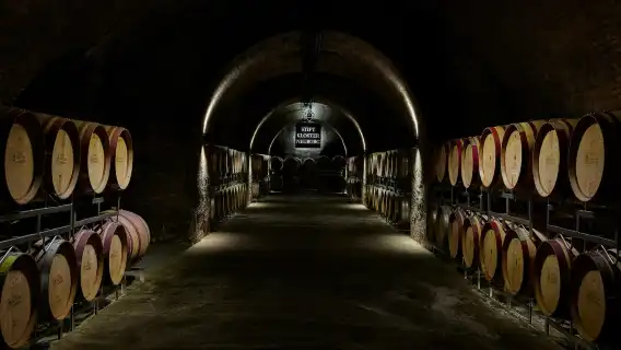 Klosterneuburg Abbey: Guided Wine Cellar Tour & Tasting