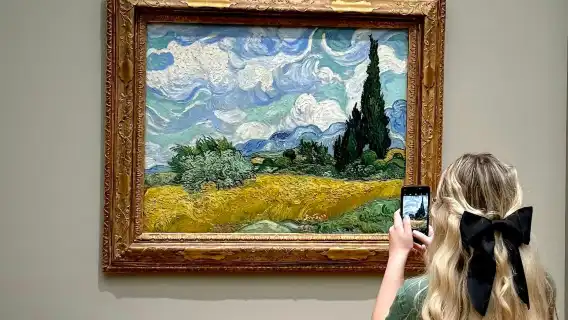 Metropolitan Museum of Art: Entry + Tour (Private, Small Group, Self-Guided)