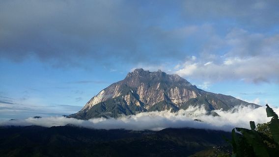 TuaranTours