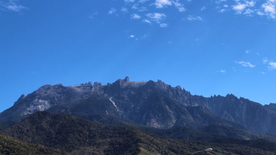 The Best of Kundasang: Desa Dairy Farm, Fish Spa And BBQ Pork Day Tour | Kota Kinabalu