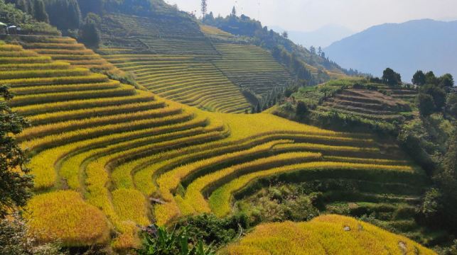 桂林：龍脊梯田及陽朔翠屏山日落日遊
