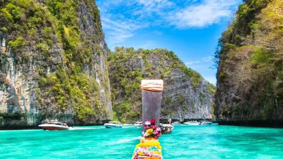 Phuket Phi Phi Islands + Maya Bay + Mai Thon Island 1-day tour | Premium small group | Dolphin watching available at Mai Thon Island