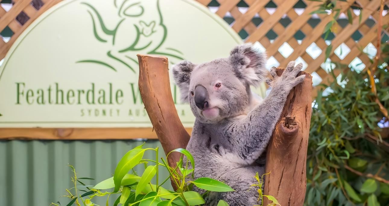 雪梨藍山國家公園+費瑟戴爾野生動物園一日遊【上門接駁/含票】