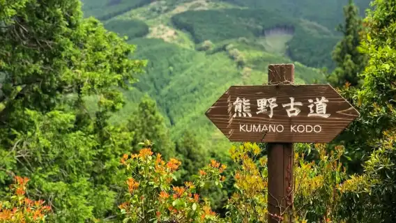 Kumano Kodo one-day tour with Private Car |Freely customize your itinerary