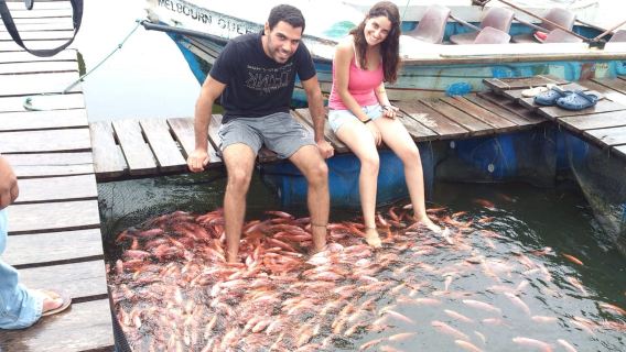 Galle and Bentota Day-Tour From Colombo