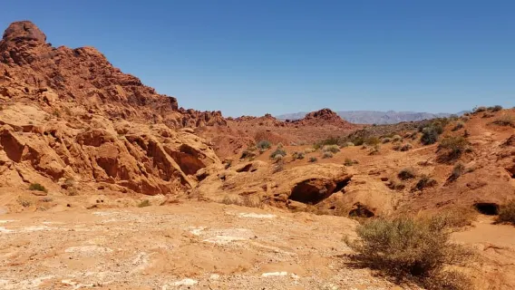 Từ Las Vegas: Tham quan Công viên Tiểu bang Thung lũng Lửa