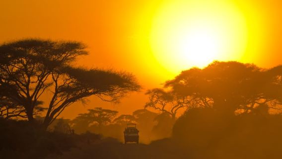 Mirissa, Weligama, or Galle: Transfer to Ella & Yala Safari