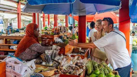 Mahé: Chuyến đi khám phá miền Nam hoang dã kèm bữa trưa địa phương
