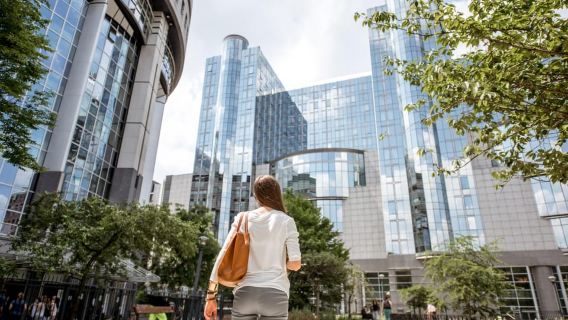 Bruselas: Recorrido privado a pie por caminos e historias secretas