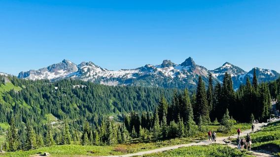 美國西雅圖市區來回-雷尼爾山國家公園-包車可包車-精選