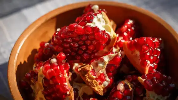 From Kotor: Lake Skadar Wine and Culinary Tour