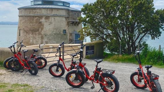 ดับลิน: ทัวร์ชมทิวทัศน์ด้วยจักรยานไฟฟ้า