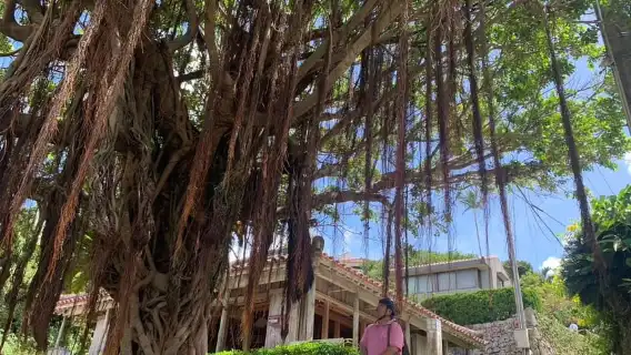 首裡+那霸：騎行之旅，騎電動自行車探索水文化遺產