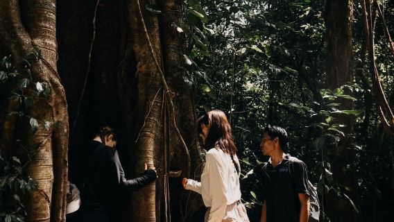 Munduk: escursione nella giungla dei laghi gemelli, tempio Ulun Danu e cascata