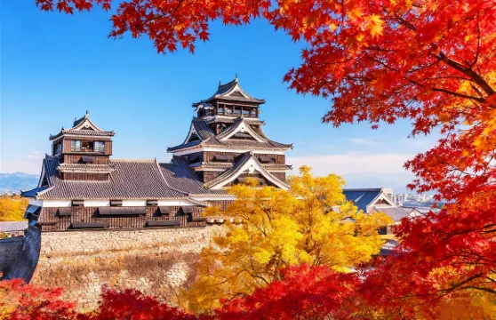 熊本城 & 阿蘇火山口探秘，草千里騎馬體驗，福岡/熊本出發