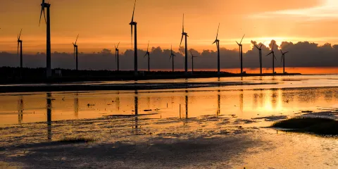 台中高美濕地+花市+宮原眼科+送珍奶【台北出發|保證出團】