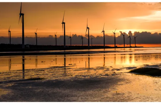 台中高美濕地+中社花市+宮原眼科【送珍珠奶茶｜台北出發】