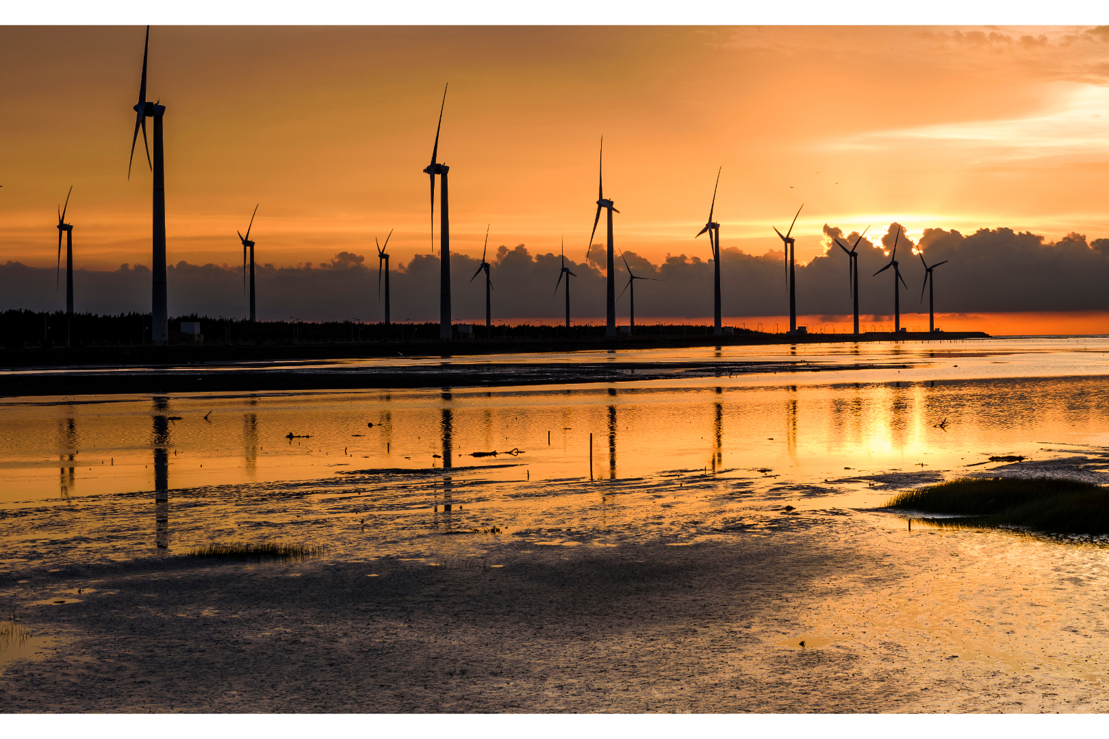 타이중 가오메이 습지+중샤 화훼시장+궁원안과 [버블티 제공 | 타이베이 출발]