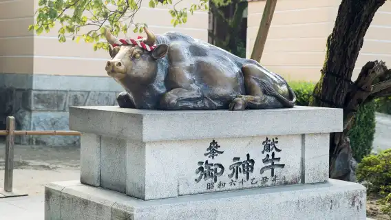 Day tour from Fukuoka: Raizansennyoji Taihioin + Yanagawa cruise + Dazaifu + Kamado Shrine