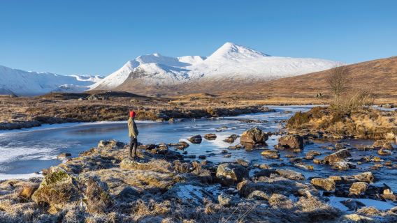 Cairngorms National Park + Tomatin Distillery day tour in the UK|Includes winery tour and wine tasting