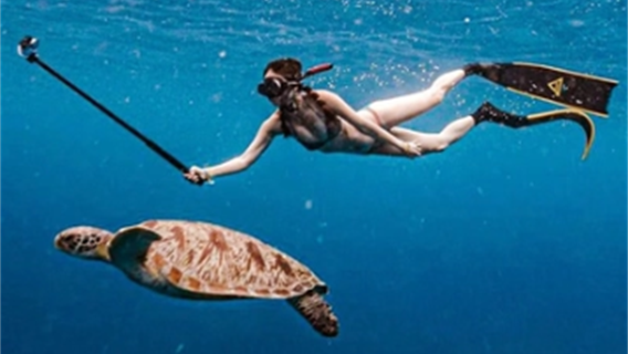 Penawaran Spesial! perjalanan satu hari ke Kepulauan Similan, Phuket, Thailand, termasuk snorkeling dan jelajah pulau, dengan berbagai pilihan perahu.