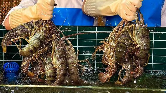 [Chengdu] Suning Outlets - Yong Rong Hui Buffet de Mariscos (Festín de mariscos + Restaurante de lujo + Servicio de calidad + Ambiente elegante)