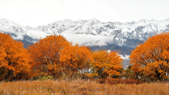包車遊&雲中牧場或甘海子二選一【天然牧場彩林--純玩輕徒步】