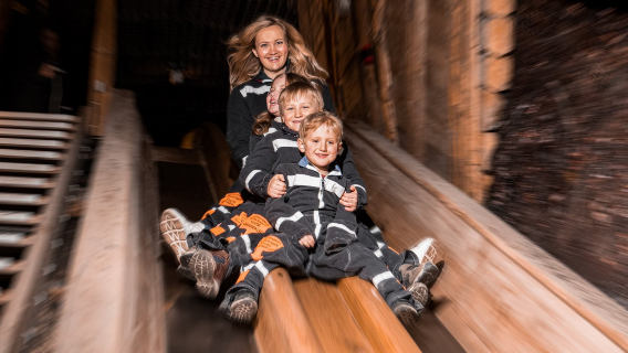 Salzburg round-trip: Salt Mine Exploration 1-day tour (English-speaking group)|4 hours