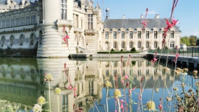 巴黎尚蒂伊城堡+森林|古堡與藝術的優雅之旅【中文司機行程可調】