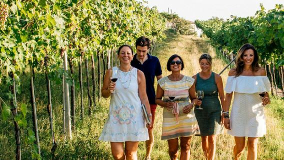 Verona: tour delle cantine della Valpolicella con un enologo