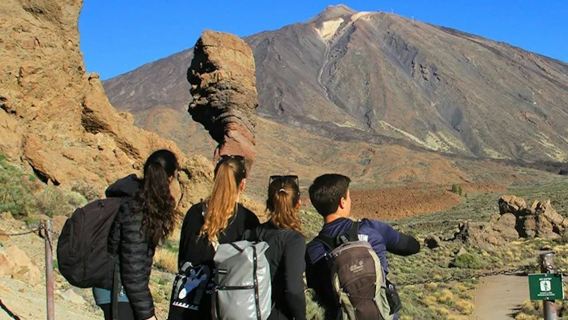 Tenerife: tour guidato di mezza giornata al Parco Nazionale del Teide
