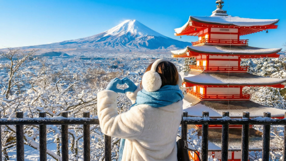 후지산 인기 명소 하루 투어: 아라쿠라야마 센겐 공원 + 가와구치 호 + 오시노 핫카이