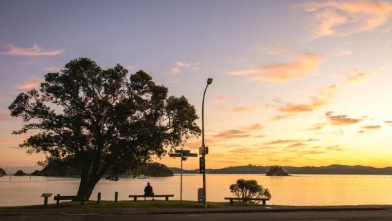 Auckland to Paihia via West Coast Small Group Tour (One Way)