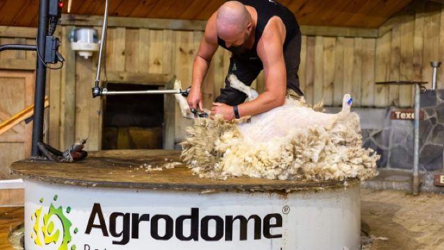 Agrodome Show & Farm Tour - Unique Performance in Rotorua, North Island, New Zealand