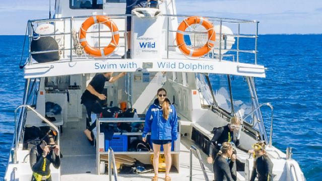 เพิร์ท: ล่องเรือพร้อมไกด์ + ว่ายน้ำกับโลป่าป่า + อาหารกลางวัน