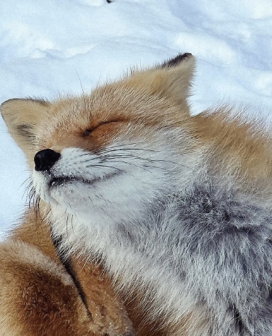 北海道層雲峽+阿寒湖全景包車一日遊（單程）