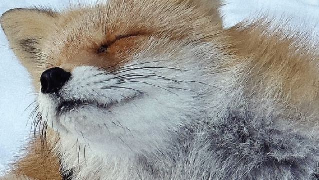 Lawatan Sehari Sewaan Peribadi Panorama Sounkyo & Tasik Akan Hokkaido (Sehala)