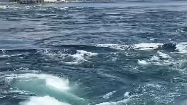 大阪出發-德島一日遊/鳴門渦流-大鳴門橋游步道 渦之道-祖谷溪【不含門票】