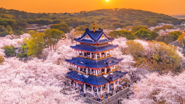 From Shanghai: Wuxi Yuantouzhu + Taihu Fairy Island Flower Viewing private Day Trip