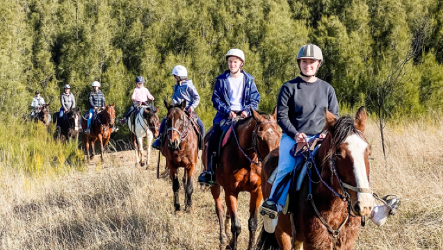 Experiencia de equitación por el bosque del Valle de los Cazadores en Australia (1 hora)