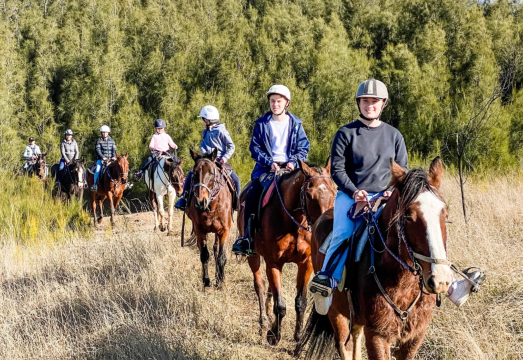 1-Hour Hunter Valley Bush Horse Riding Experience in Australia