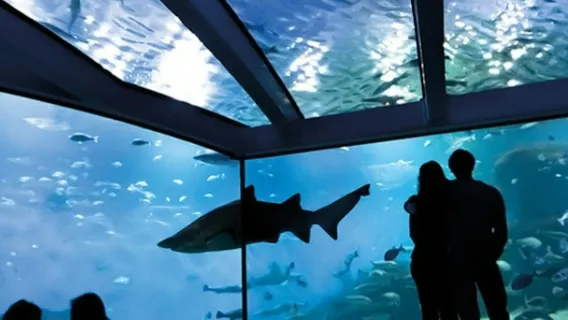 Palma Aquarium: Entrada + traslado desde la zona de Calvià