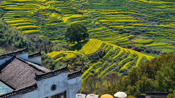 Lawatan Setengah Hari Huangling Termasuk Tali Sawat Pergi-Balik Bermula dan Tamat di Wuyuan
