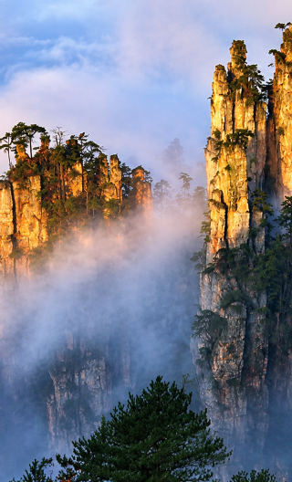 [VIP fast track] Zhangjiajie National Forest Park Avatar 1-day tour pure play small group with less queuing