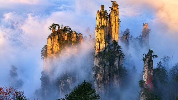 Tour di un giorno al Parco Nazionale Forestale di Zhangjiajie (Montagna di Avatar) con accesso VIP, tour puro e meno code per piccoli gruppi
