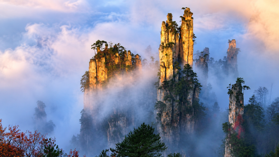 [Acceso VIP] Excursión de un día al Parque Forestal Nacional de Zhangjiajie (Avatar) en grupo pequeño sin colas