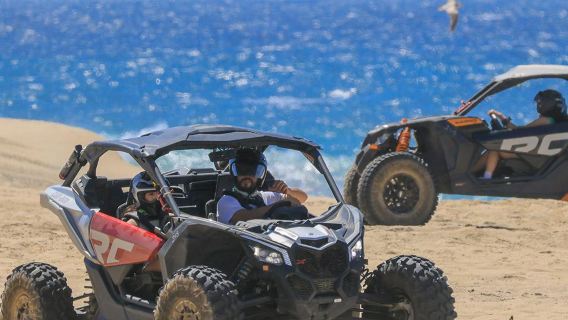 Maverick RC/RS Turbo Adventure with Transfers