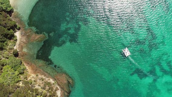 Full-Day Catamaran Sail to a Wildlife Sanctuary in the Bay of Islands