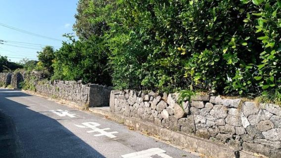 From Naha: Tokashiki Island Day Tour by Ferry