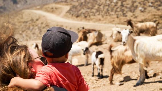 Crete: Jeep Safari, Mountains, Goat-Keeping & Cheese Making